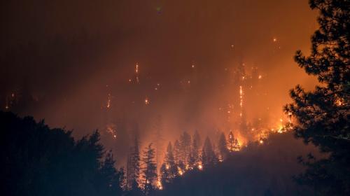 ForPost- Учёные нашли связь между лесными пожарами и деменцией у людей