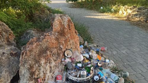 ForPost- Зелёная зона по пути к севастопольскому пляжу превращается в свалку 