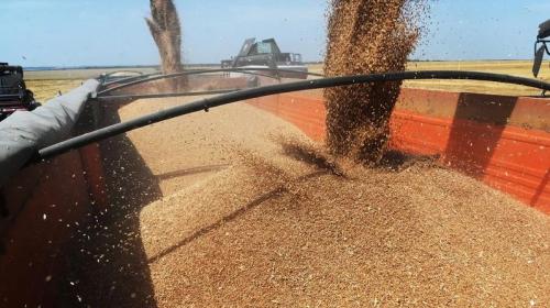 ForPost - Глава Евросовета раскритиковал бесплатные поставки зерна в Африку