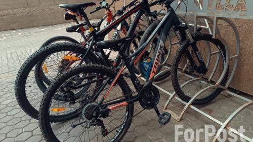 ForPost- Известны подробности обустройства 20-километрового велокольца в Севастополе