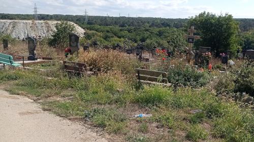 ForPost- Кладбище в Севастополе увеличат за счёт вырубки 3 тысяч деревьев