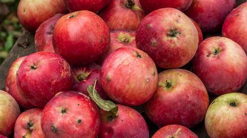 ForPost- Украина заявила об ответном эмбарго на овощи и яблоки из Польши