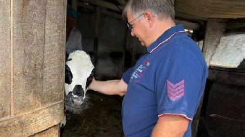 ForPost- В Севастополе стало больше скота и домашней птицы
