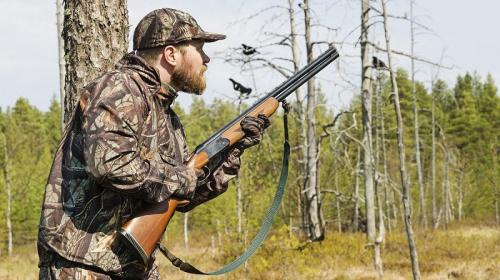 ForPost- В Севастополе охотники требуют отдать им кусок леса 