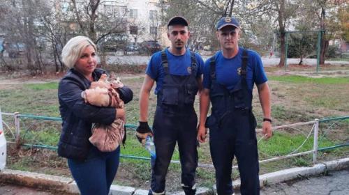 ForPost - В Крыму спасатели извлекли котёнка из стены