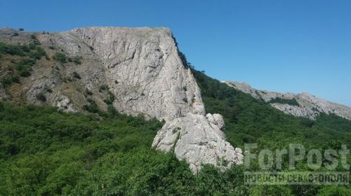 ForPost- Севастопольский частный гид вырубил десятки деревьев в заказнике Ласпи