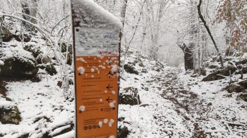 ForPost- В Севастополе падал первый снег 
