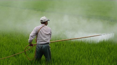 ForPost - Смертельно опасные помощники: зачем в Крыму ищут замену пестицидам