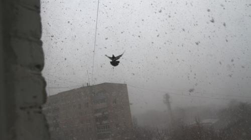 ForPost- «Чёрная метель» и снежная атака. Куда мчится мощный циклон с Чёрного моря