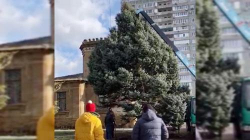 ForPost - Жители Крыма пытаются спасти упавшие в ураган деревья от распила