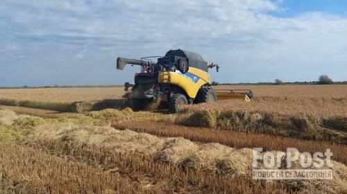 ForPost- Какой урожай зерна собрали Крым и новые регионы на второй год СВО