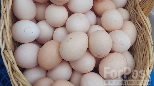 ForPost- Кого и почему в Крыму заподозрили в картельном сговоре из-за дорогих яиц