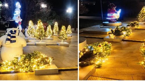 ForPost- В Севастополе случился падёж новогодних ёлок в парке Победы 
