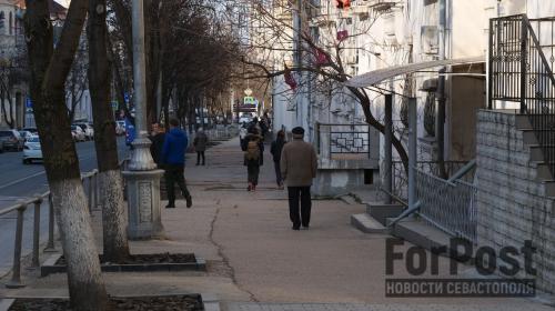 ForPost- На улицах Севастополя к Новому году зацвела сирень