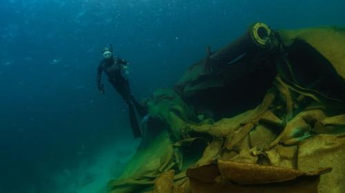 ForPost- Обнаруженное у берегов Севастополя судно могли затопить как мишень на учениях 