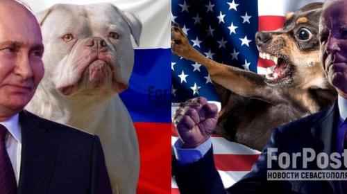 ForPost- Байден обозвал Путина «сумасшедшим сукиным сыном»: как должна ответить Россия?