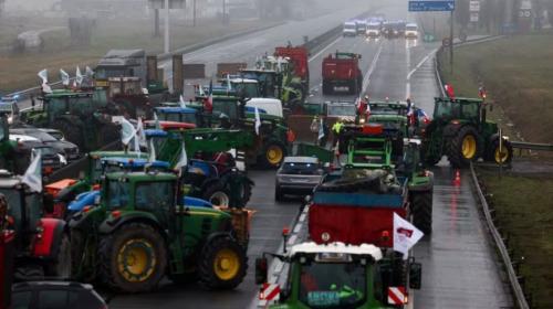 ForPost - Как бунтуют европейские фермеры, и чем это грозит Украине