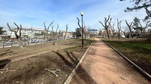 ForPost- «Выглядит как Апокалипсис»: в Крыму вырубают парк имени главного украинского поэта?