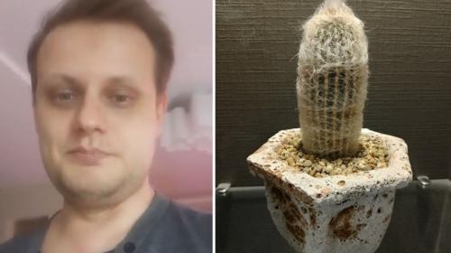 ForPost- Преподавателя уволили за фото кактуса в рабочем чате