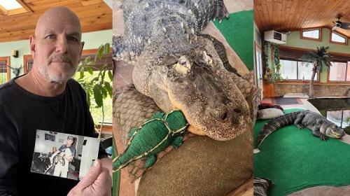 ForPost - У мужчины отняли 3,5-метрового аллигатора, которого он считает большим ребёнком