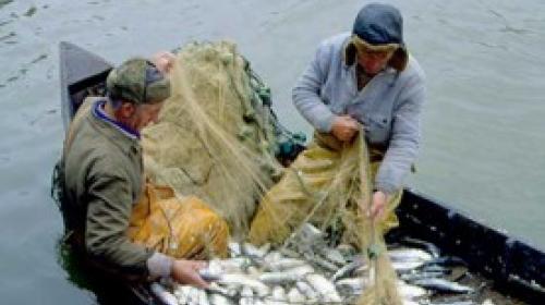 ForPost - В Севастополе за взятку задержаны сотрудники отдела регулирования рыболовства