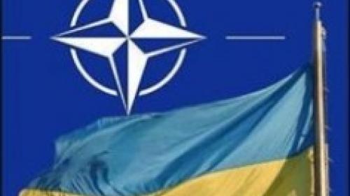 ForPost - Рабочая группа экспертов НАТО начала консультации в Севастополе