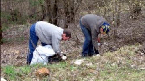 ForPost - Севастопольцы начали помогать общественным экологам в уборке мусора