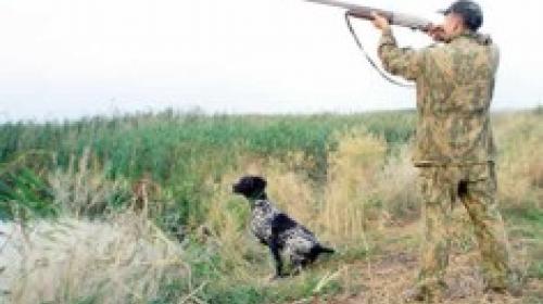 ForPost - Высший хозяйственный суд подтвердил законность решения горсовета Севастополя о предоставлении в пользование охотничьих угодий