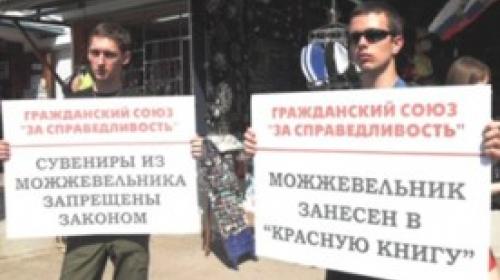 ForPost - В Севастополе общественники провели пикет в защиту можжевельника