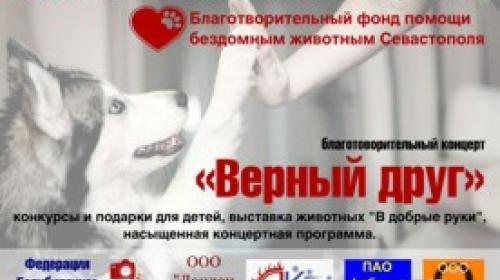 ForPost - 6 мая в Севастополе состоится благотворительный концерт для помощи бездомным животным