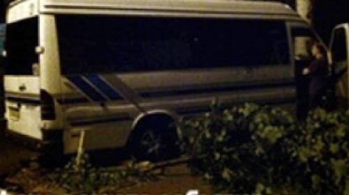 ForPost - В Севастополе грабитель напал на водителя маршрутки: автобус врезался в дерево