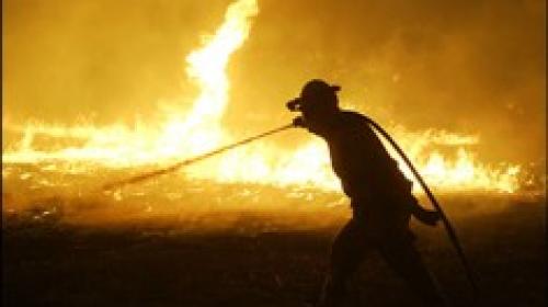 ForPost - В Севастополе произошло рекордное количество пожаров