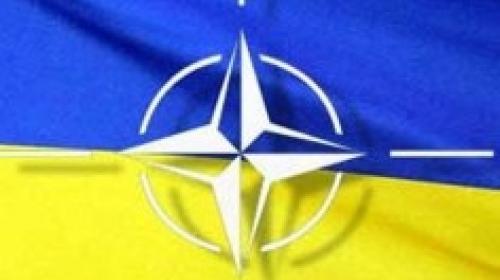 ForPost - «Дни НАТО» в СВМИ