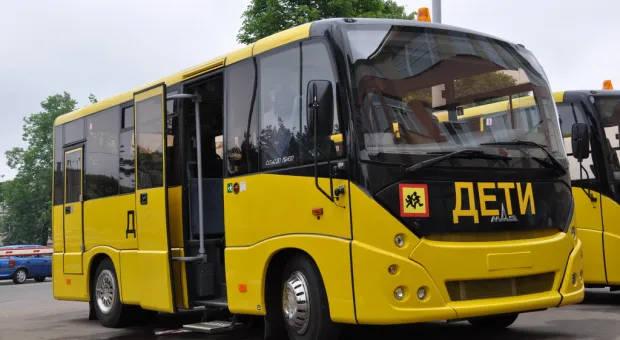 Севастопольских детей с окраин в школу будут доставлять автобусами 