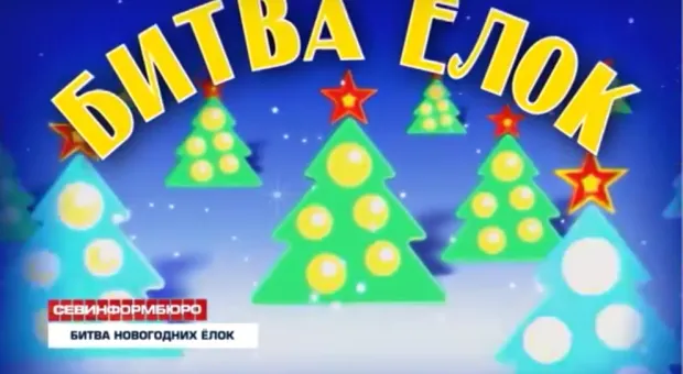 Битва Ёлок. Выбираем самую нарядную и красивую новогоднюю ёлку Севастополя. ГОЛОСОВАНИЕ