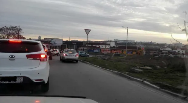 Новости Севастополя - В Севастополе пока нет ни гриппа, ни кори