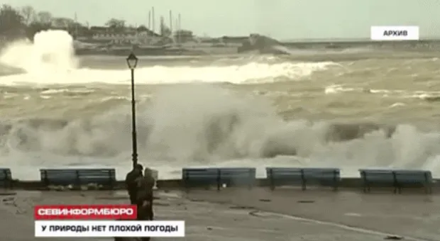 Новости Севастополя - 