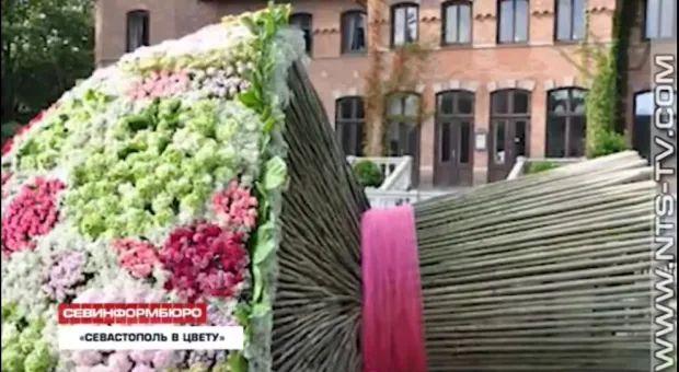 В Севастополе пройдет масштабный фестиваль цветов и садов