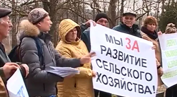 Севастопольские пайщики вышли на митинг