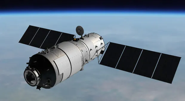 Мировые новости - Можно ли обеспечить Севастополь доступными рыбой и виноградом 