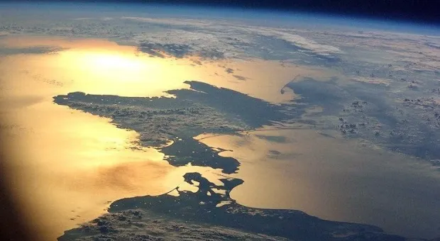 Новости Крыма - Что в Севастополе сделали с центнером санкционного сыра