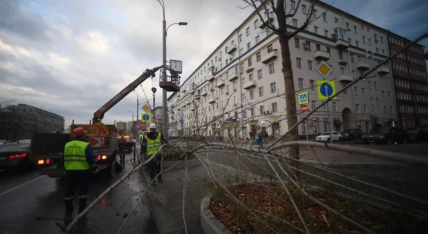 Новости России - МЧС предупредило о ветре, мокром снеге и грозах в центральной России