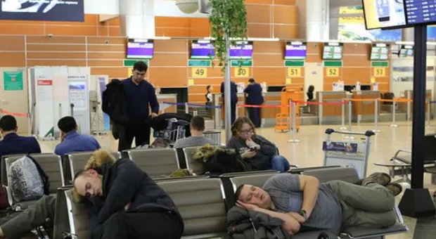 Минтранс Подмосковья объяснил запрет лежать на полу в аэропортах 