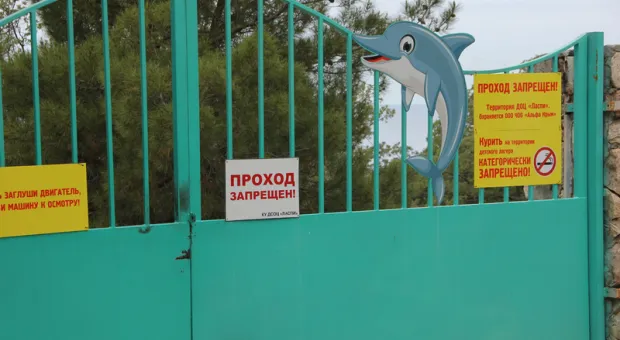 Отравление в Севастополе: 7 детей выписаны из больницы