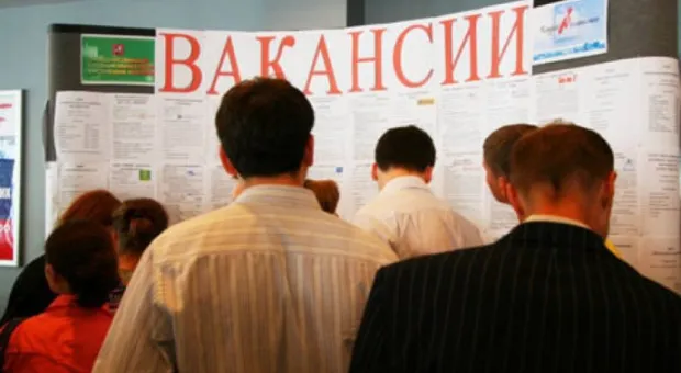 Сенатор от Севастополя оценила предложение Жириновского о пенсионной реформе