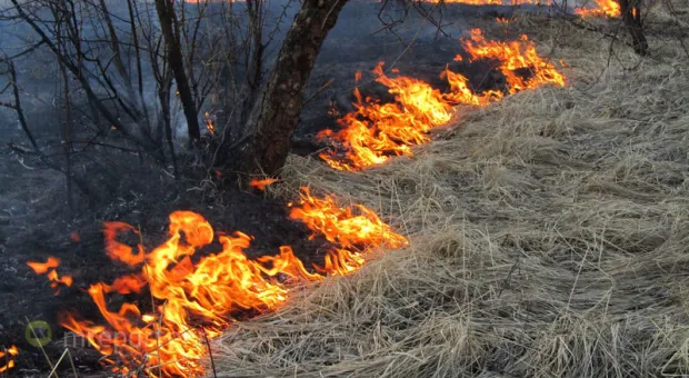 Стихийный огонь всё больше «выжигает» Севастополь