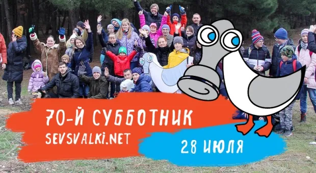 Новости Севастополя - 