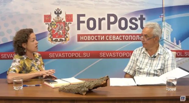 «Почти полдень»: Кто скажет "Стоп!" уничтожению краснокнижных растений в Севастополе?
