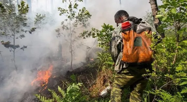 В Крыму продолжают бороться с огнём в заповеднике