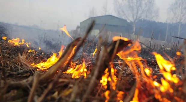 За неделю в Севастополе выгорело около 9 гектаров земли